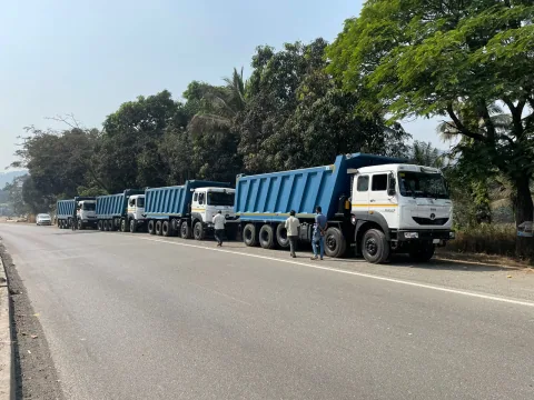 A line of blue and white tipper trucks beside a tree-lined road